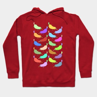 Cute and Girly Cartoon Platypus Pattern Hoodie